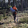 Ein Mann in orangefarbener Arbeitskleidung geht mit einer Tasche auf dem Rücken, in der Jungbäume stecken, in den Wald.