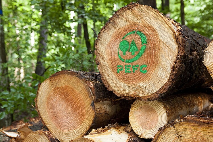Holzstämme liegen übereinandergestapelt im Wald, auf einer Schnittfläche ist in Grün ein Logo aufgesprüht.