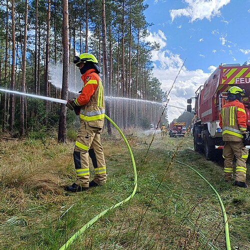 Feuerwehrleute und Einsatzwagen am Rand eines Waldes üben das Löschen eines Brandes.